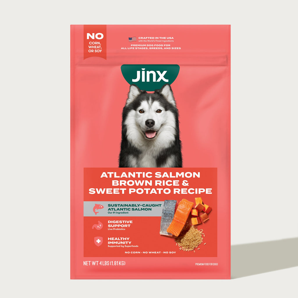 Dry Dog Food product image 1