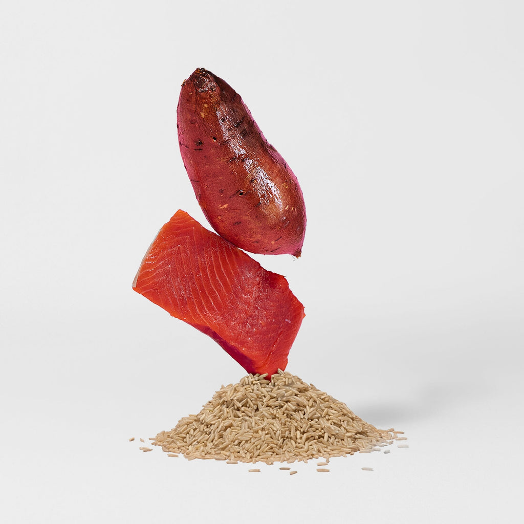 Dry Dog Food product image 4