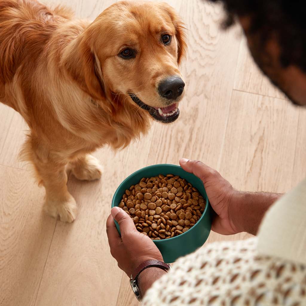 Dry Dog Food product image 5