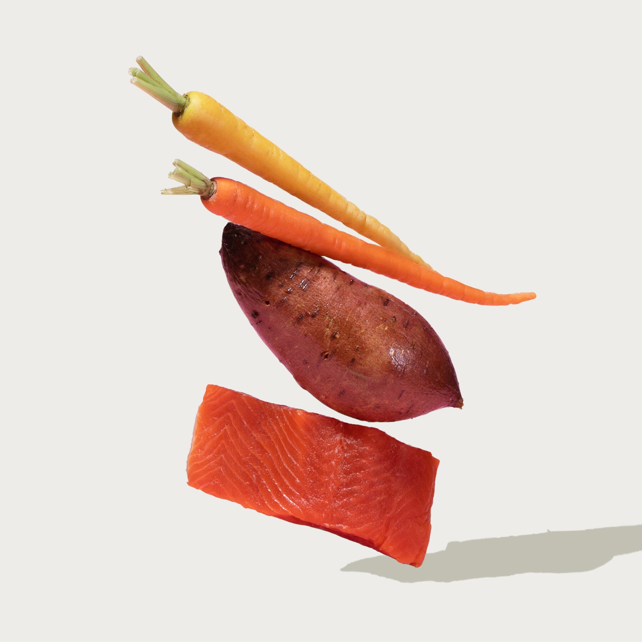 Dry Dog Food product image 4