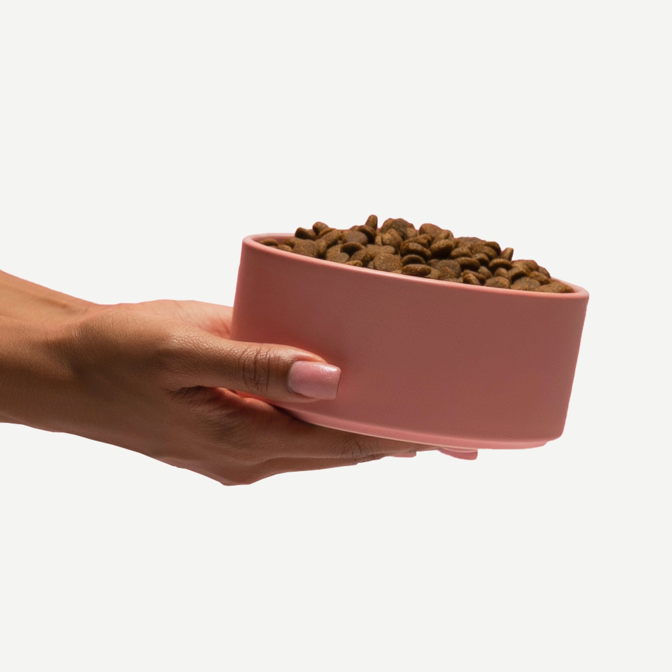 Dry Dog Food product image 5