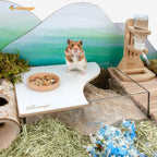 Small Animal Sand Bath product image 6