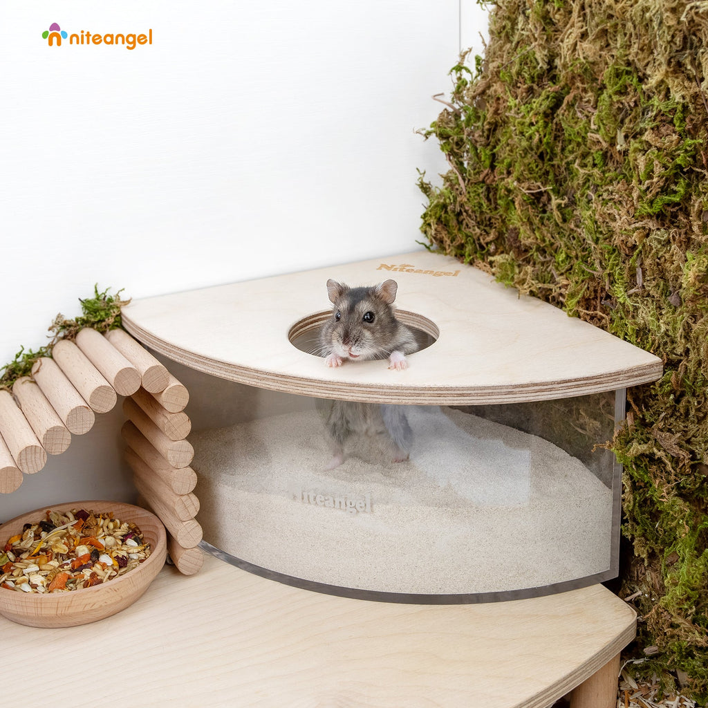 Small Animal Sand Bath product image 1
