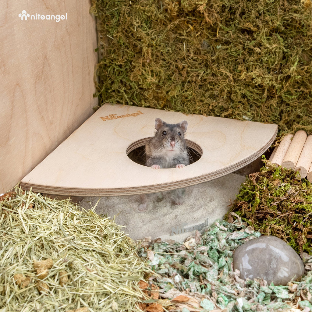 Small Animal Sand Bath product image 2