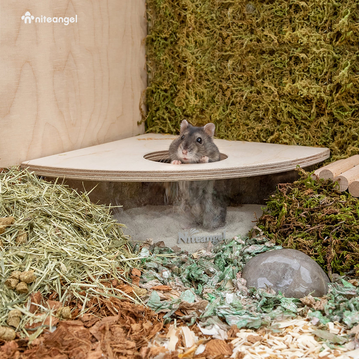 Small Animal Sand Bath product image 3