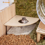 Small Animal Sand Bath product image 7