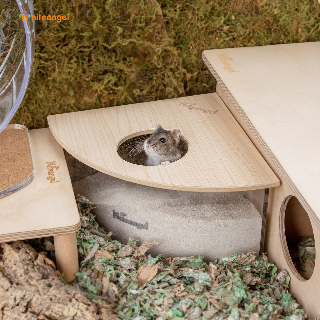 Small Animal Sand Bath product image 8