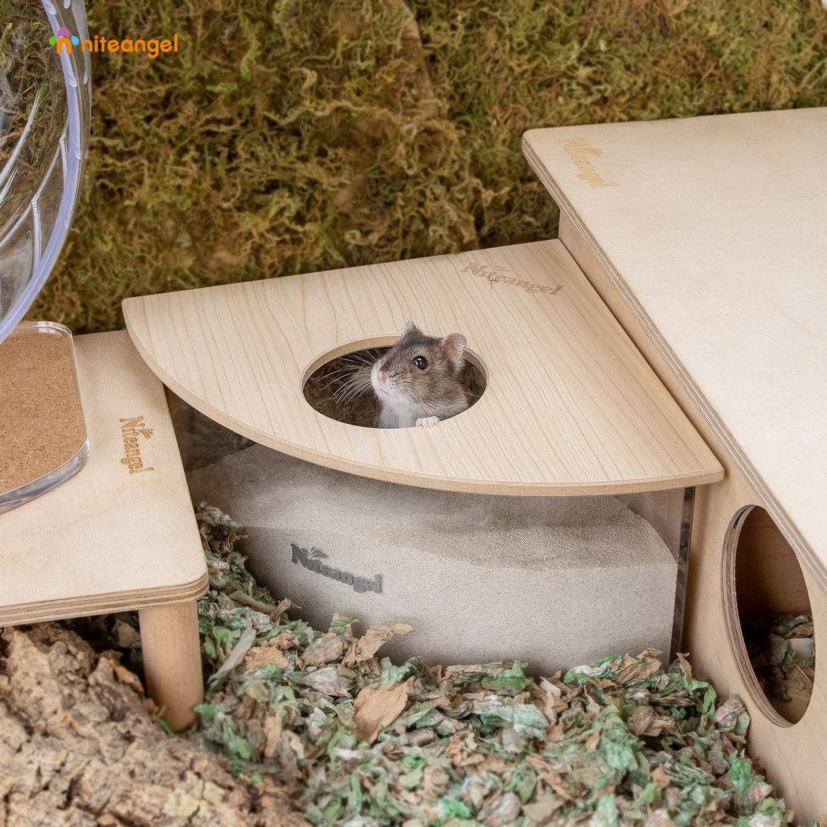 Small Animal Sand Bath product image 8