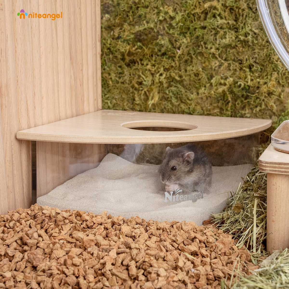 Small Animal Sand Bath product image 9