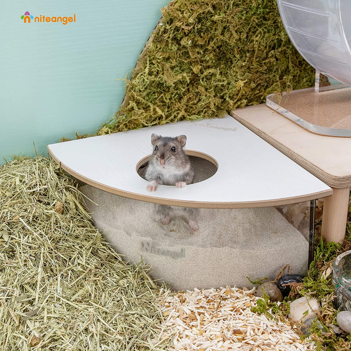 Small Animal Sand Bath product image 14