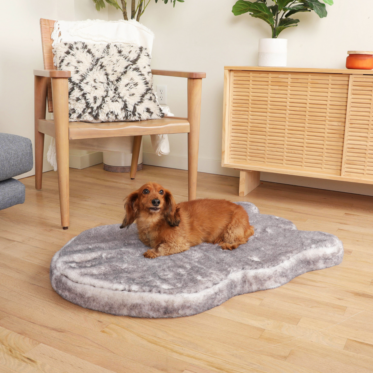 Orthopedic Dog Bed product image 1