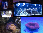 Aquarium LED Light product image 2