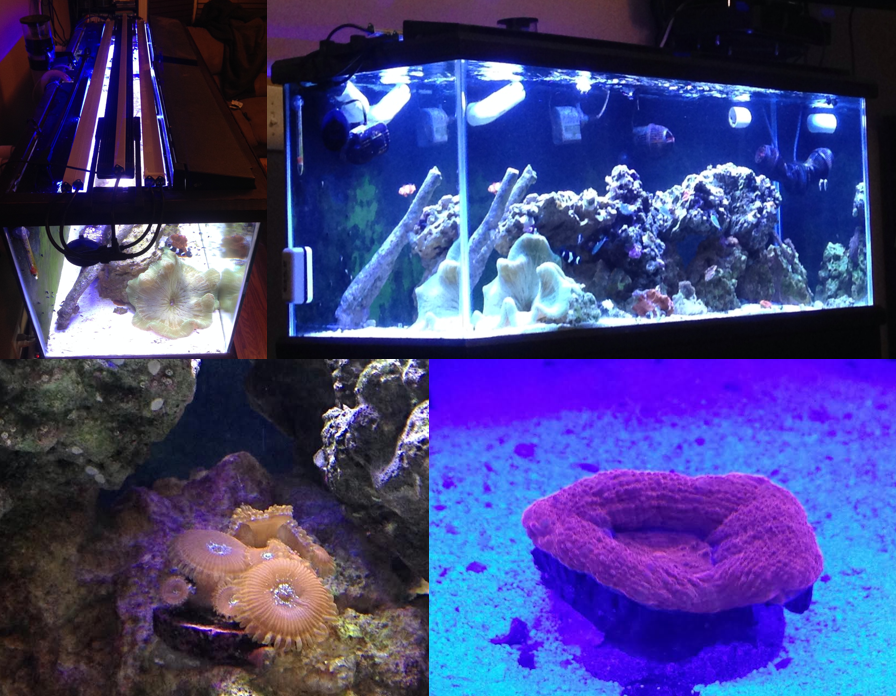 Aquarium LED Light product image 2
