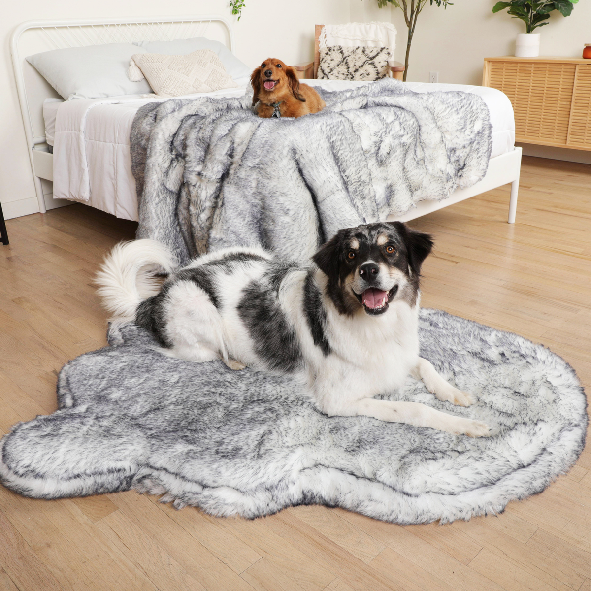 Orthopedic Dog Bed Bundle product image 1