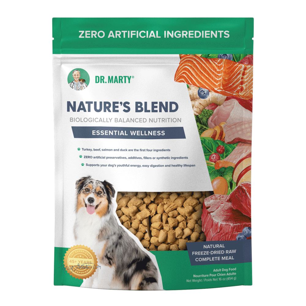 Dog Food product image 1