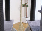 Cat Tree product image 5