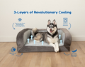 Cooling Bolster Bed product image 1