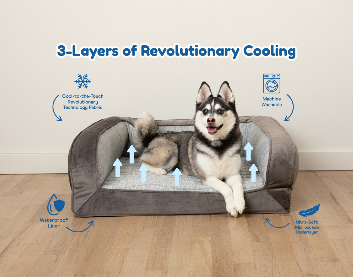 Cooling Bolster Bed product image 1