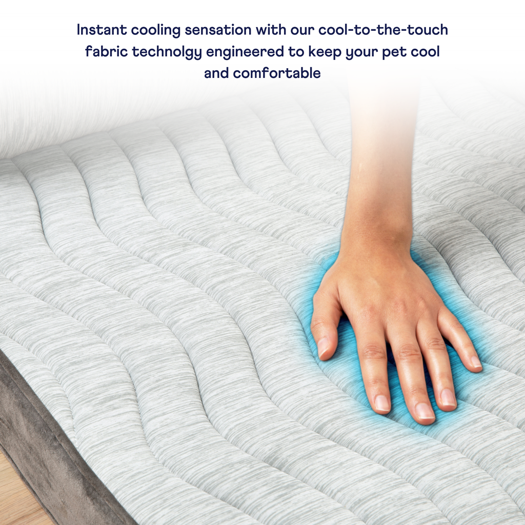 Cooling Bolster Bed product image 4