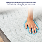 Cooling Bolster Bed product image 4