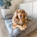 Cooling Bolster Bed product image 11