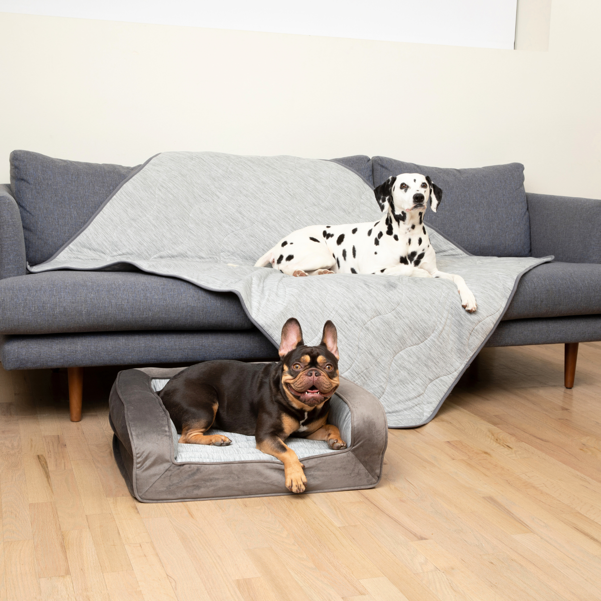 Cooling Dog Bed Bundle product image 2