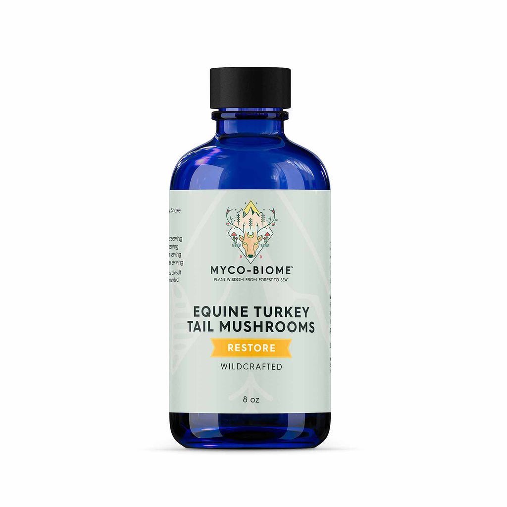 Equine Turkey Tail Extract product image 1