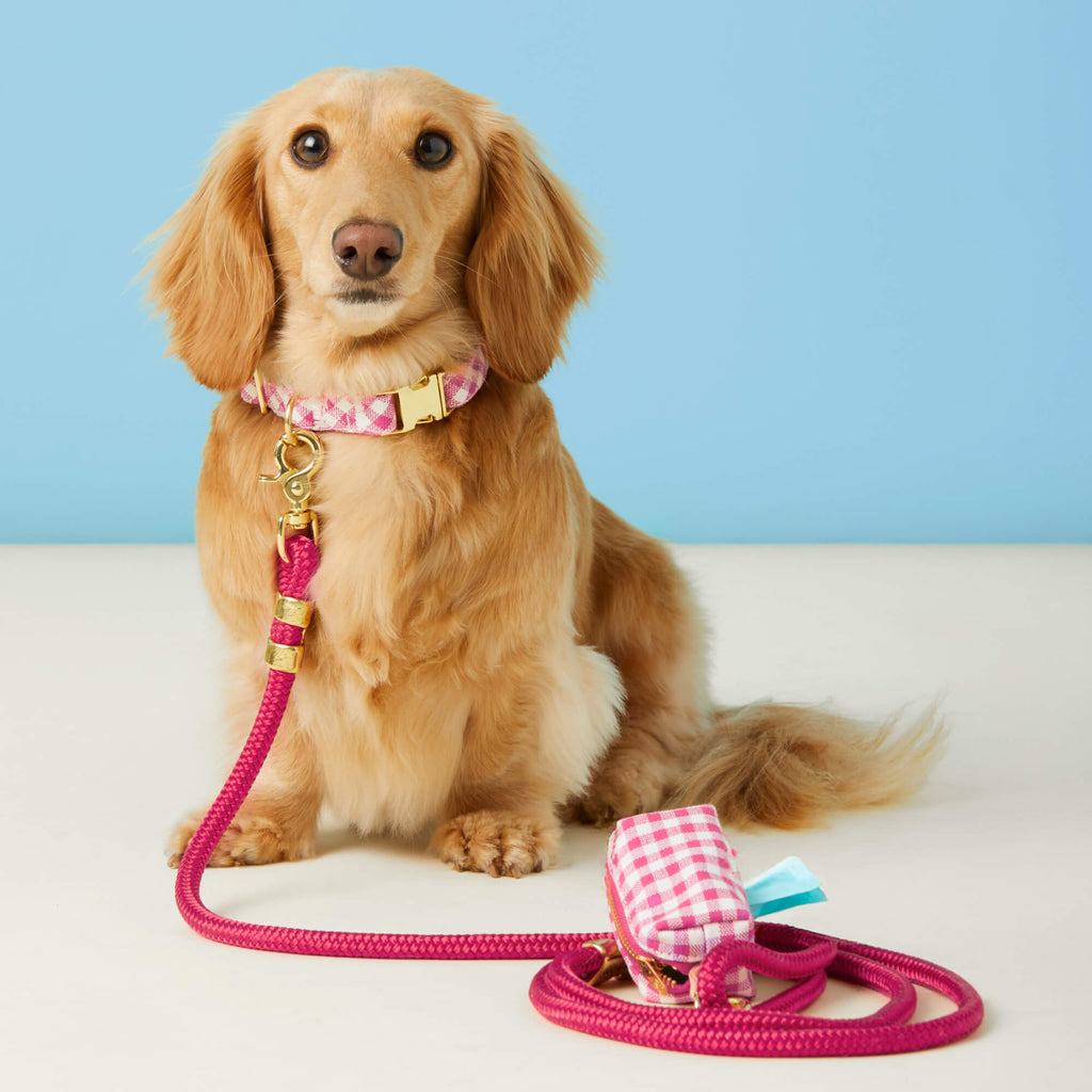 Dog Leash product image 3
