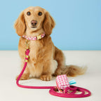 Dog Leash product image 3