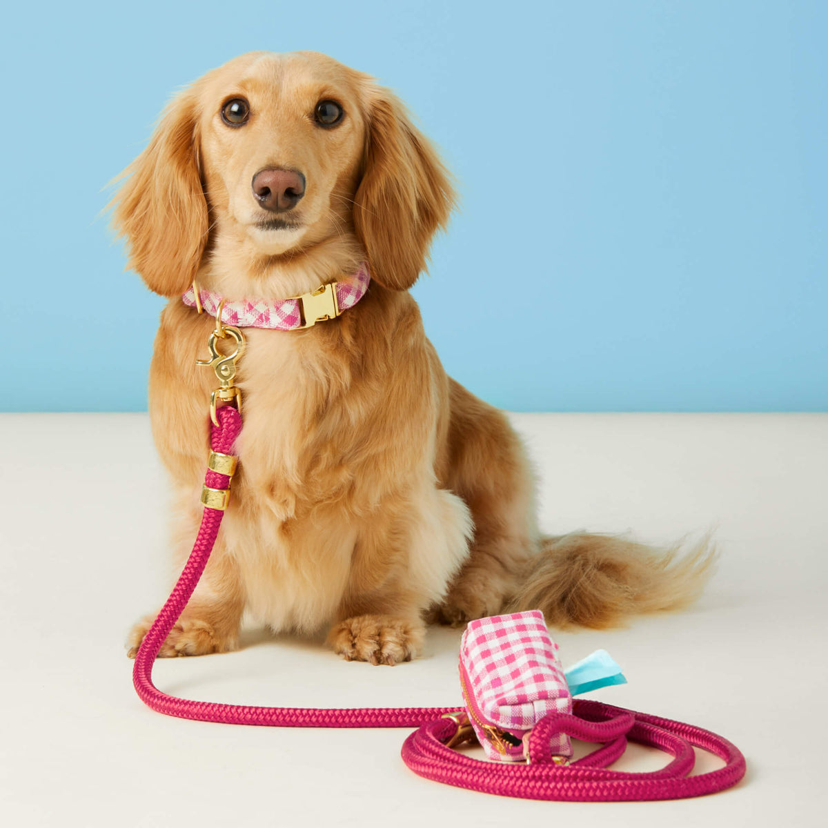 Dog Leash product image 3