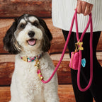 Dog Leash product image 4