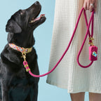 Dog Leash product image 12