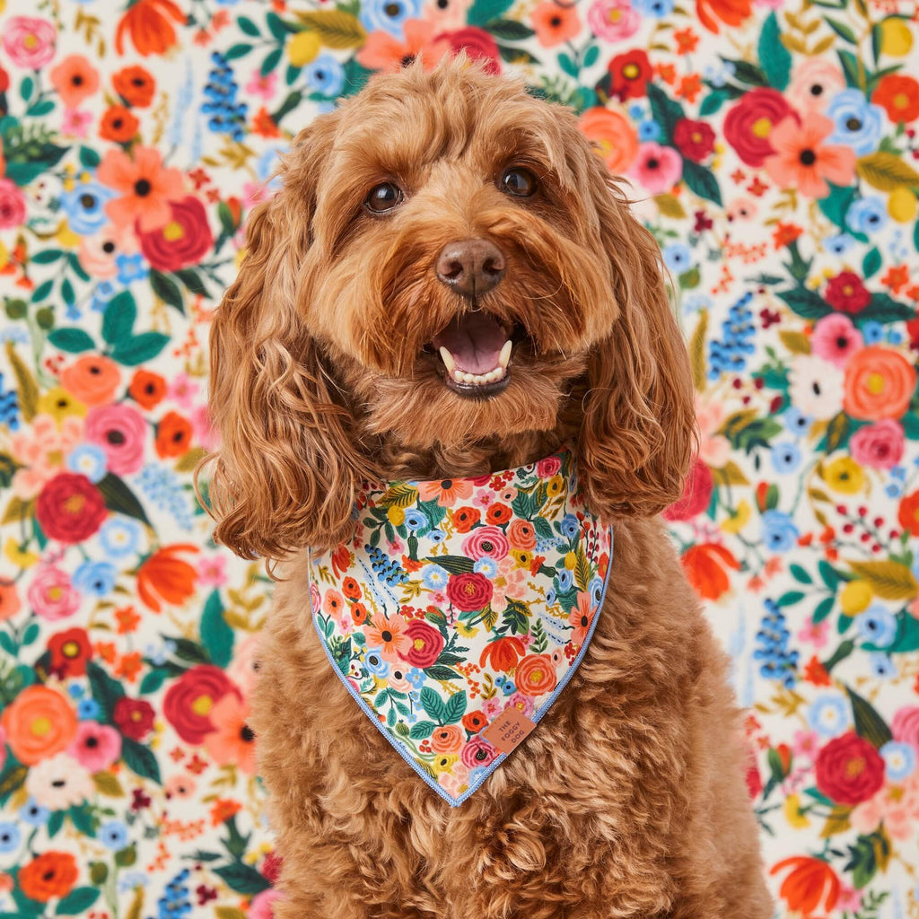Dog Bandana product image 2