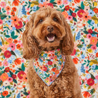 Dog Bandana product image 2