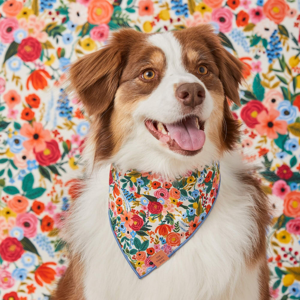 Dog Bandana product image 3