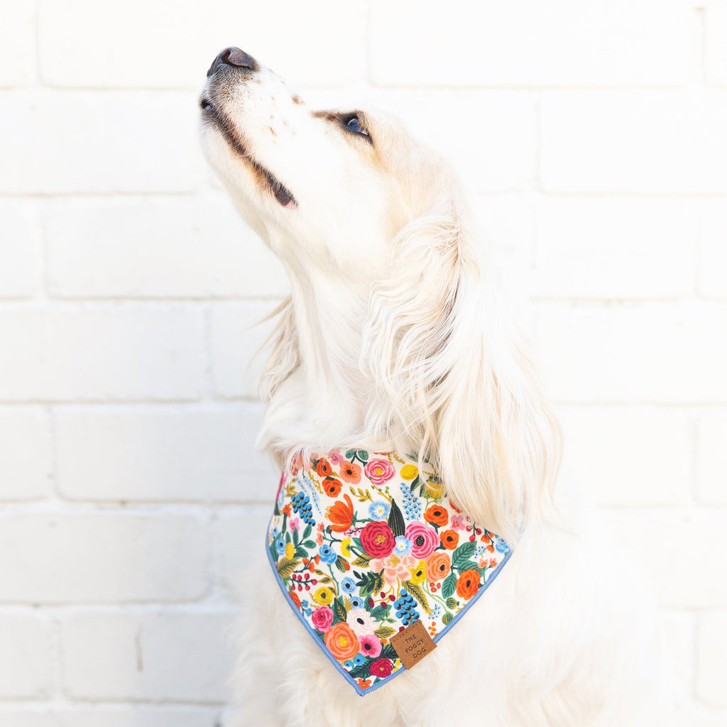 Dog Bandana product image 6