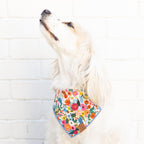 Dog Bandana product image 6