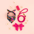Dog Collar Set product image 5