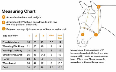 Horse Fly Mask product image 5
