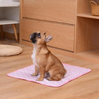 Washable Self-Cooling Pet Mat product image 4