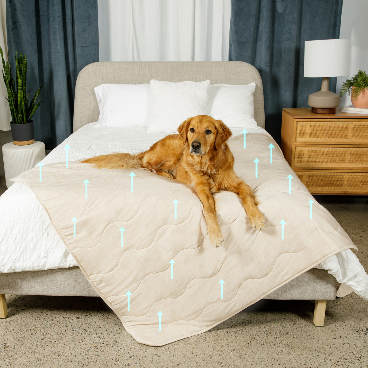 Cooling Waterproof Blanket product image 1