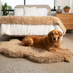 Orthopedic Dog Bed product image 1