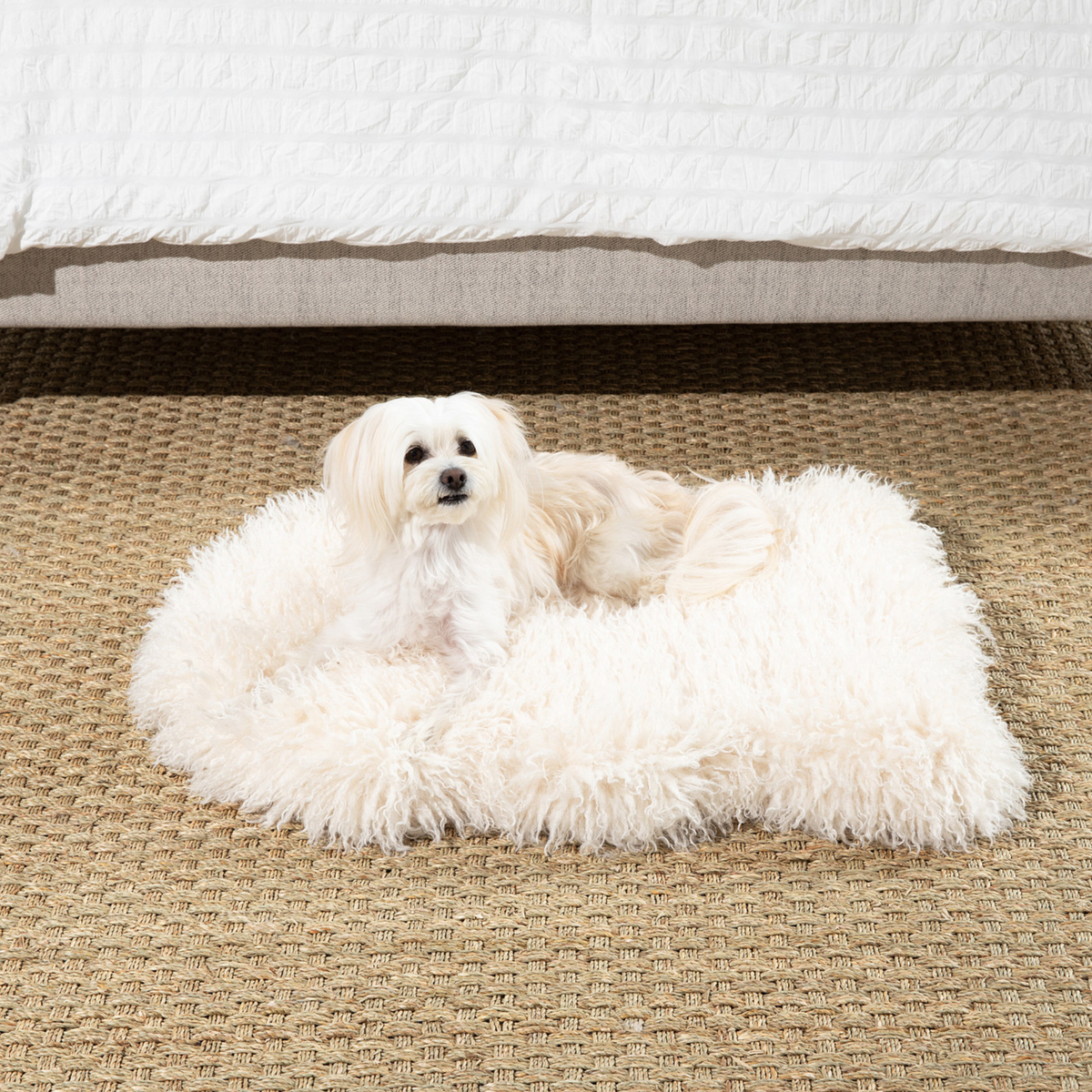 Orthopedic Dog Bed product image 2