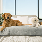 Cooling Dog Blanket product image 1
