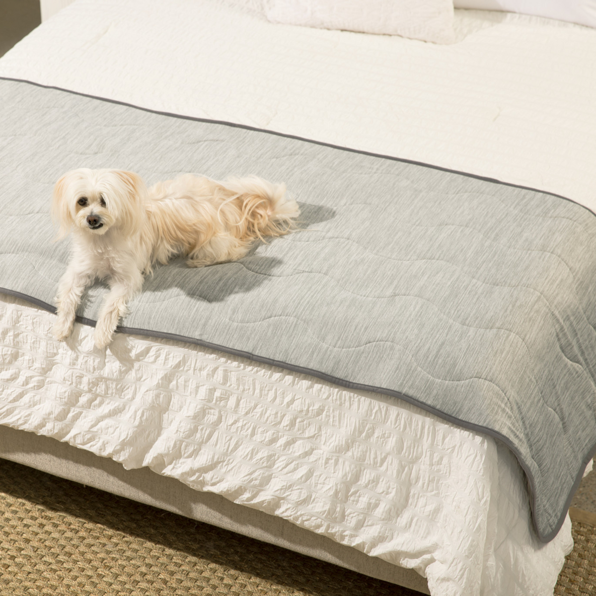 Cooling Dog Blanket product image 3