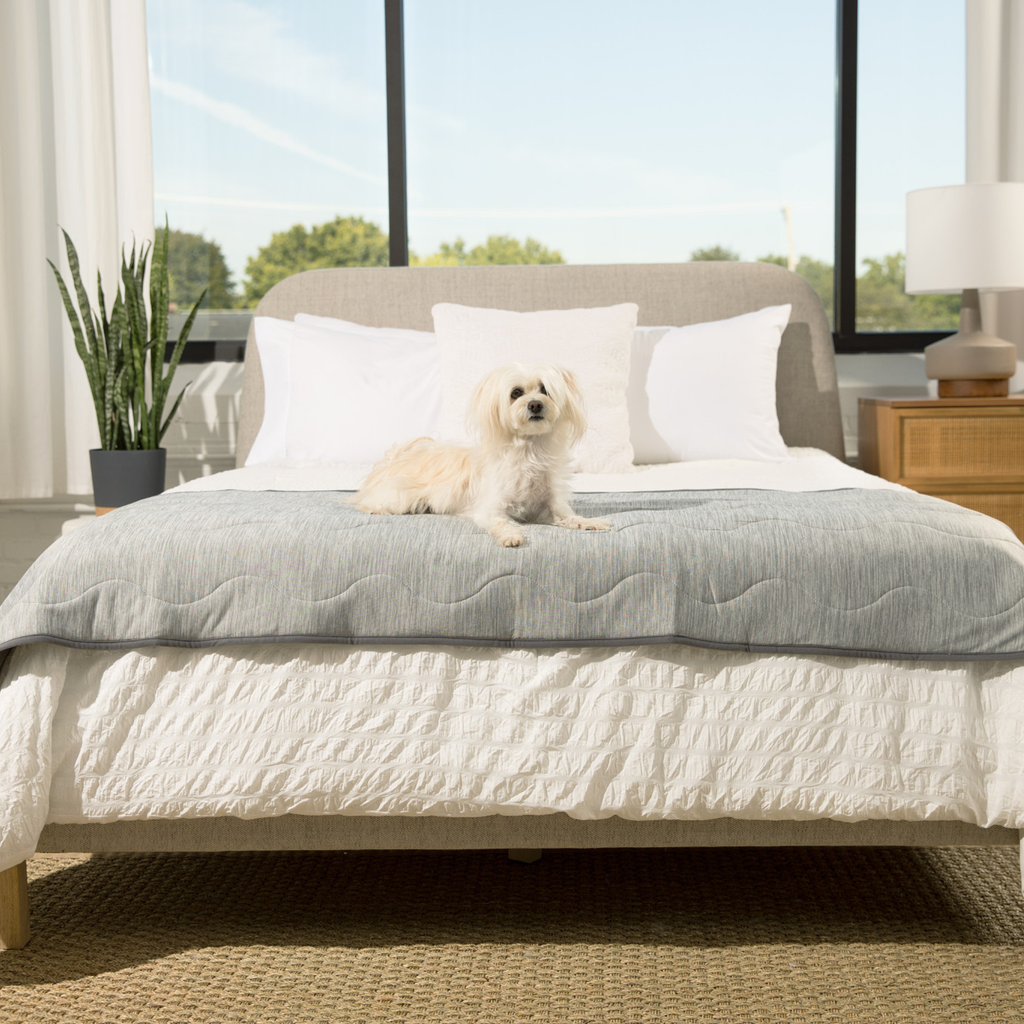 Cooling Dog Blanket product image 4