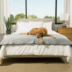Cooling Dog Blanket product image 5