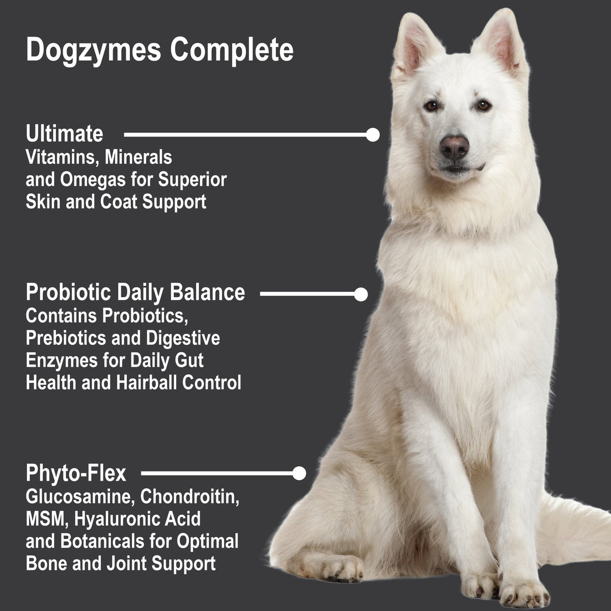 All-in-One Dog Nutrition Supplement product image 6