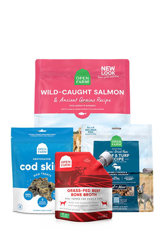 Dog Food Bundle product image 1
