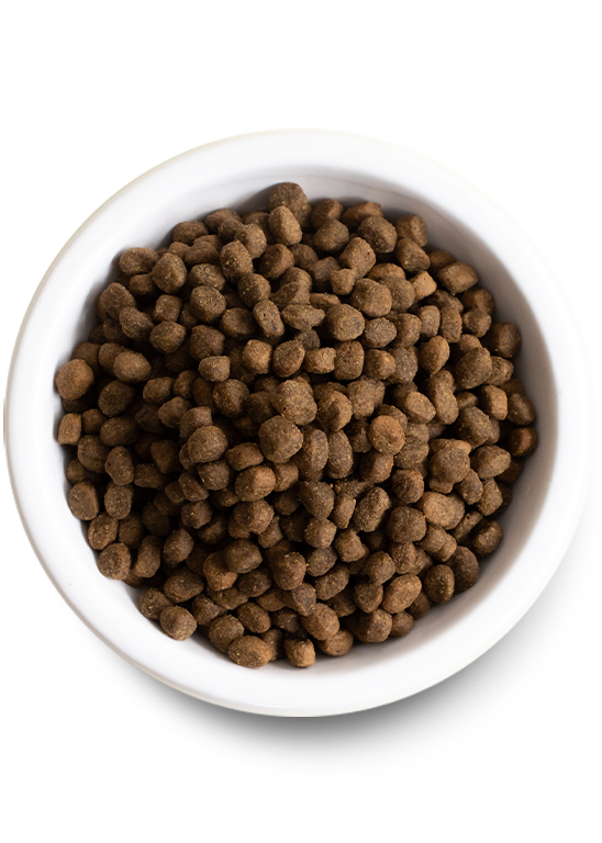 Dog Food Bundle product image 3